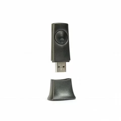 Cambridge Audio BT100