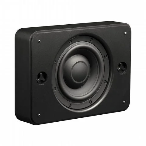 Triad 2 OnWall Bronze SlimSub RA 300