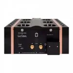 Dan D'Agostino Relentless 1600 Monaural Amplifier — изображение 2