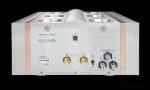 Dan D'Agostino Relentless 1600 Monaural Amplifier — изображение 3