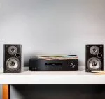 Polk Audio T15 — изображение 4