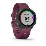 Умные часы Garmin Forerunner 245, 42 мм черный/вишневый — изображение 6