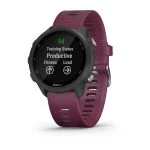 Умные часы Garmin Forerunner 245, 42 мм черный/вишневый