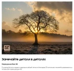 Телевизор Samsung QE65QN800BU — изображение 4